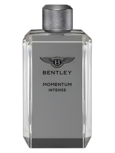 Bentley Momentum Intense perfume bottle