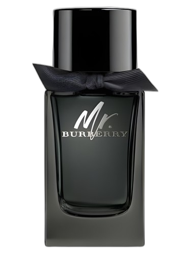 Burberry Mr. Burberry Eau de Parfum perfume bottle