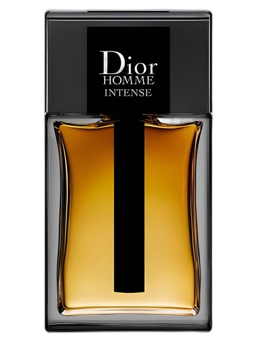 Dior Dior Homme Intense 2011 perfume bottle