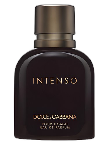 Dolce&Gabbana Dolce&Gabbana Pour Homme Intenso perfume bottle