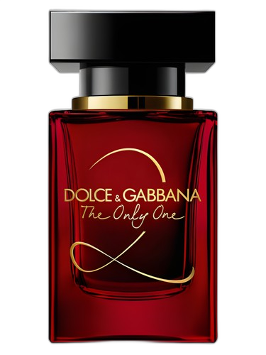 Dolce&Gabbana Dolce&Gabbana The Only One 2 perfume bottle
