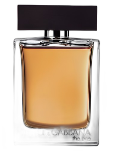 Dolce&Gabbana The One for Men perfume bottle