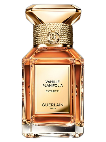 Guerlain Vanille Planifolia Extrait 21 perfume bottle