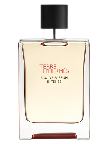 Hermès Terre d’Hermès Intense perfume bottle