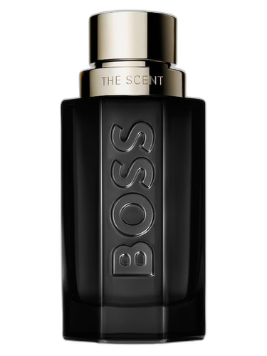 Hugo Boss Boss The Scent For Him Magnetic perfume bottle