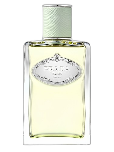Prada Infusion d'Iris (2015) perfume bottle