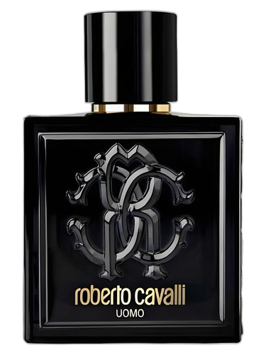 Roberto Cavalli Roberto Cavalli Uomo perfume bottle