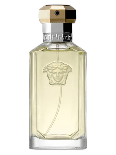 Versace The Dreamer perfume bottle