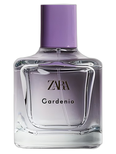 Zara Gardenia perfume bottle